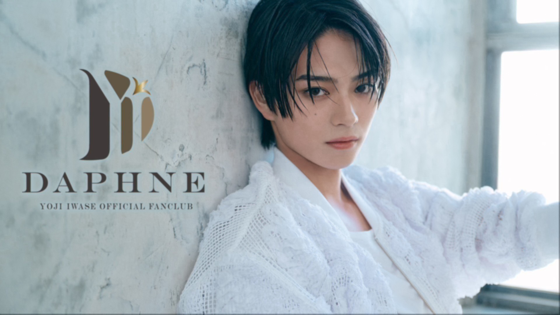 岩瀬洋志　Daphne クリスマスファンミ　トレカ　フルコンプ 岩瀬洋志 Daphne クリスマスファンミ トレカ フルコンプ YOJI