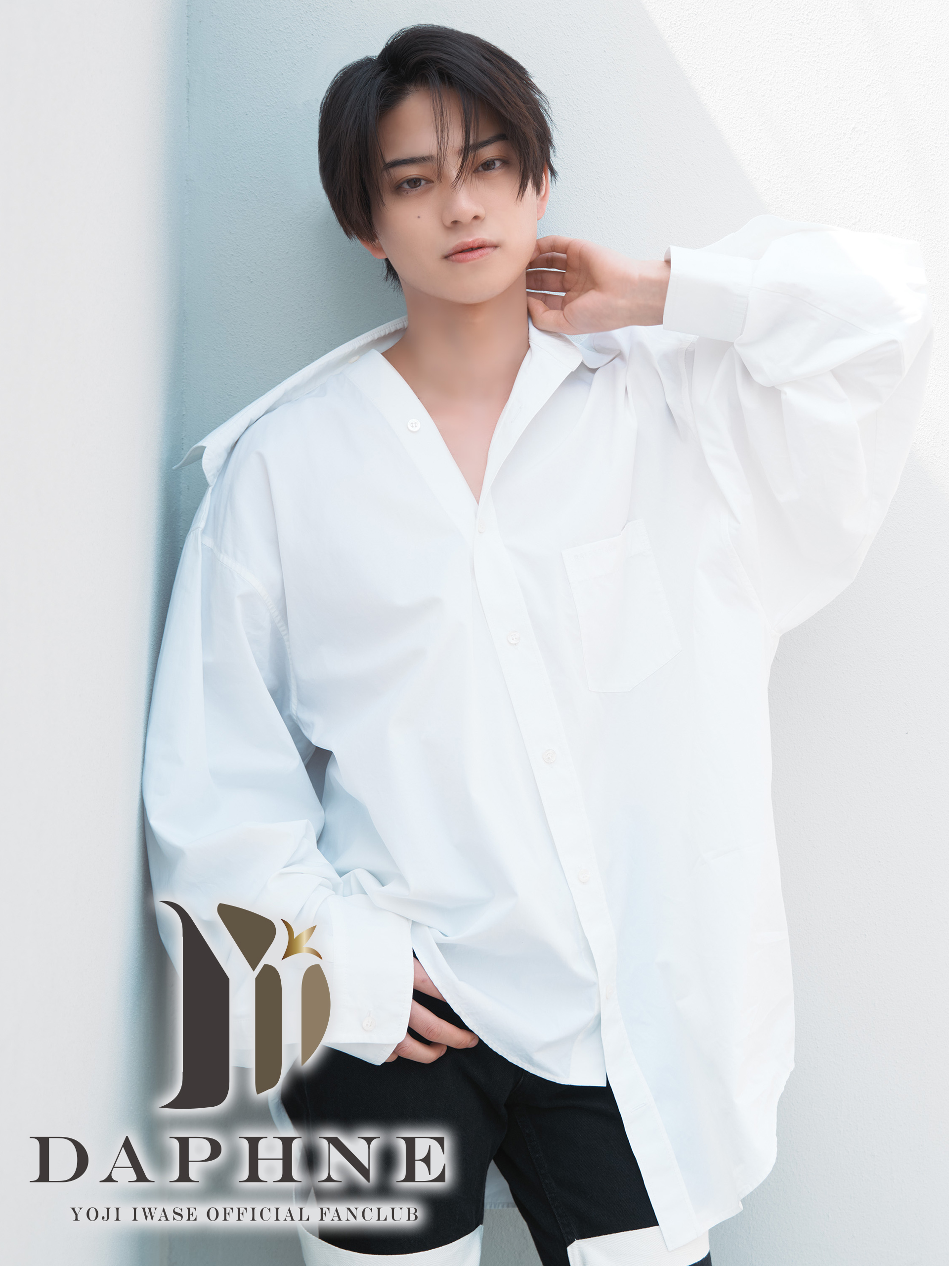 YOJI IWASE OFFICIAL FANCLUB 「Daphne」
